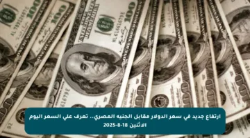 ارتفاع جديد في سعر الدولار مقابل الجنيه المصري.. تعرف على السعر اليوم الاثنين 18-8-2025